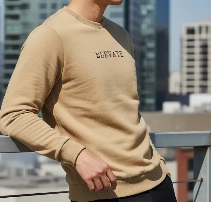 Beige Fleece Round Neck Regular Fit Biege Sweatshirt