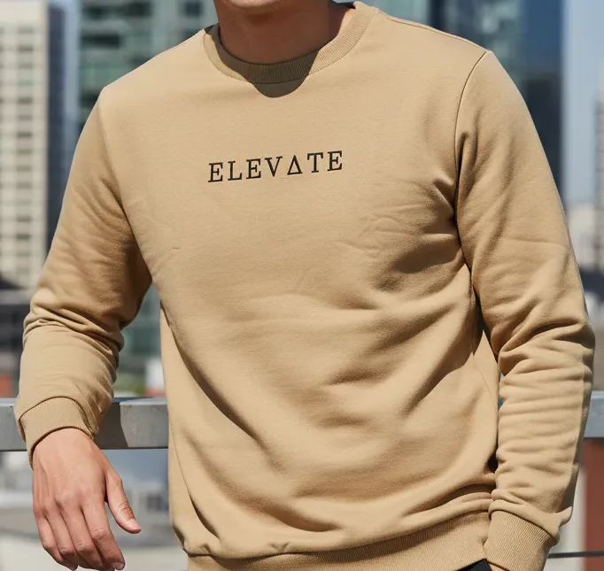 Beige Fleece Round Neck Regular Fit Biege Sweatshirt