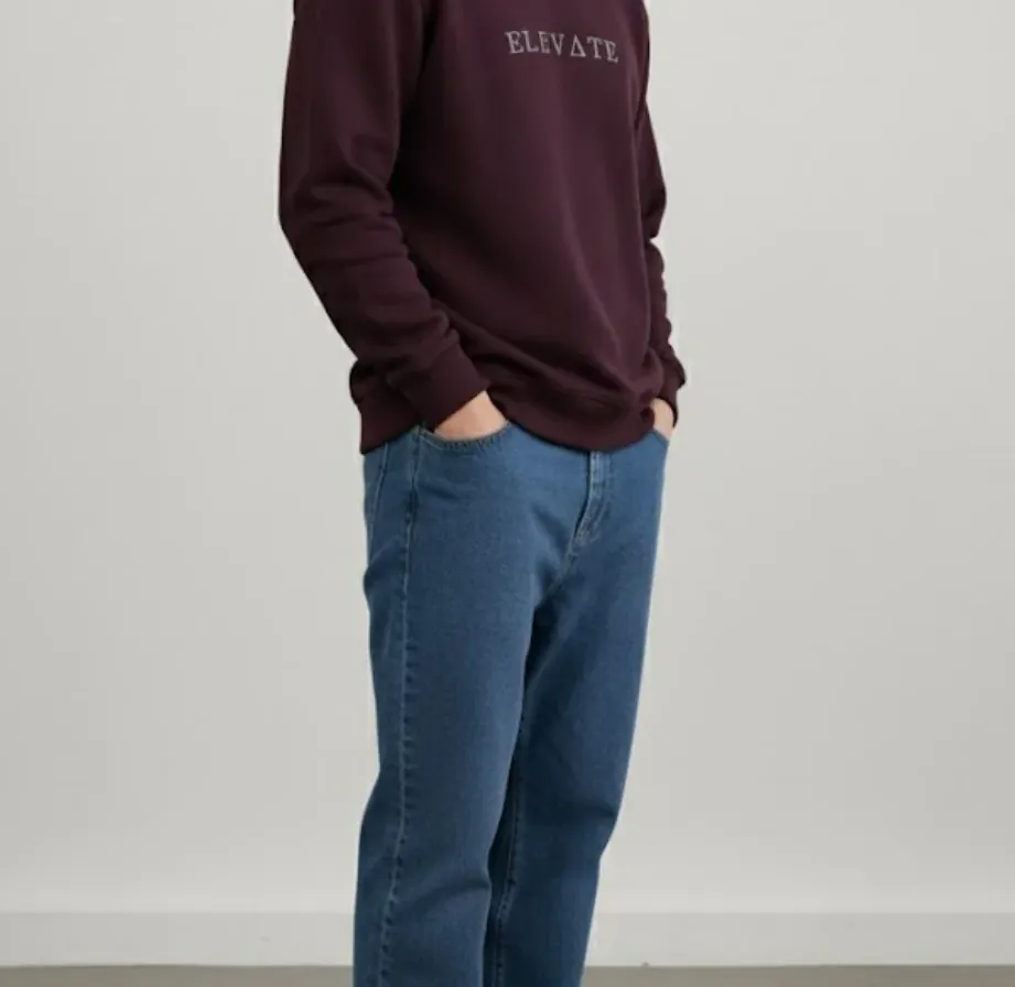 Wine Fleece Round Neck Regular Fit Sweatshirt